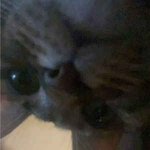 Meet your Posher, Avery